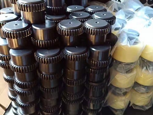 Guangdong TGL type-nylon inner gear ring drum gear coupling